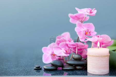 Téléchargez les photos : Pierres de basalte zen et orchidée à la rosée - en image libre de droit