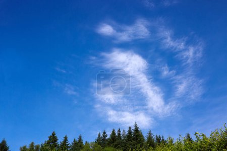 Téléchargez les photos : Blue sky background with tiny clouds and trees - en image libre de droit