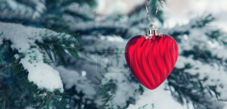 Photo for Red heart on snow covered pine branch in winter forest. Valentines day background. - Royalty Free Image