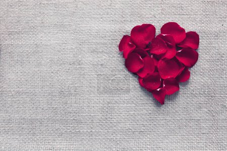 Téléchargez les photos : Coeur rouge de pétales de rose isolé. Fond de la fête des mères
. - en image libre de droit