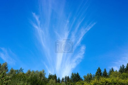 Téléchargez les photos : Fond bleu ciel avec de minuscules nuages - en image libre de droit