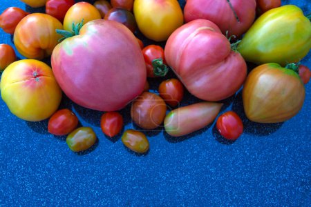 Photo for Group of colorful tomatoes isolated on gray. - Royalty Free Image