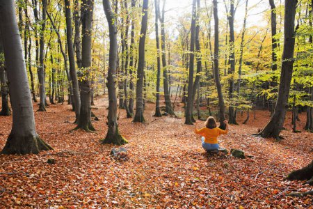 Téléchargez les photos : Femme faisant pose de yoga dans la forêt d'automne colorée. - en image libre de droit