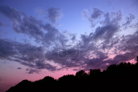 Photo for Colorful sky with gray clouds and trees silhouettes. - Royalty Free Image