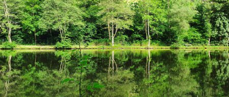 Foto de Hermosa vista al lago de primavera con árboles verdes. - Imagen libre de derechos