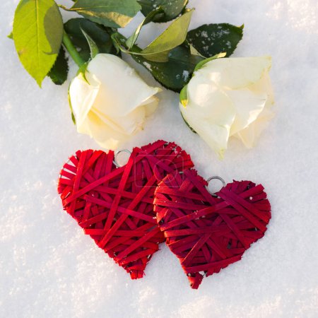 Foto de Dos corazones rojos y rosen blanco sobre nieve en invierno. Feliz día de San Valentín. - Imagen libre de derechos