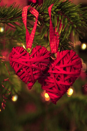 Téléchargez les photos : Deux cœurs rouges pendent sur une branche de sapin - en image libre de droit