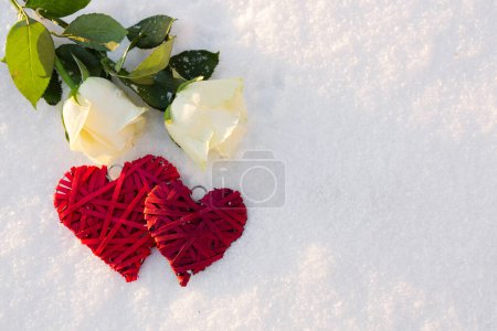Téléchargez les photos : Deux cœurs rouges et une rose blanche sur la neige en hiver. Joyeuse célébration de la Saint-Valentin. - en image libre de droit