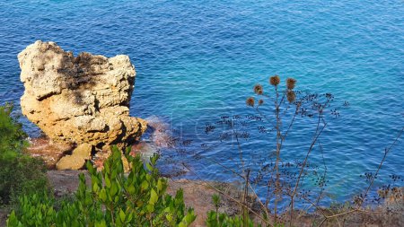 Téléchargez les photos : Ciel bleu et plage sur la côte rocheuse. - en image libre de droit