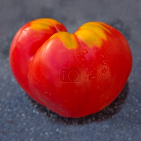 Photo for Red tomato in shape of heart on gray background - Royalty Free Image