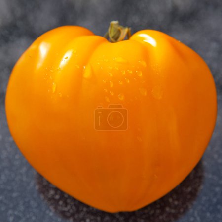 Photo for Yellow tomato in shape of heart on gray background - Royalty Free Image