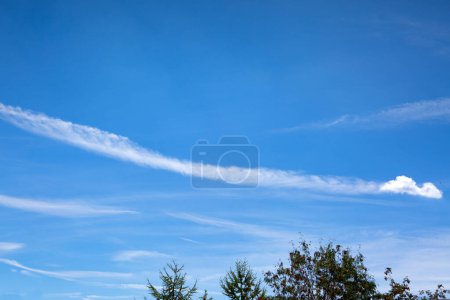 Téléchargez les photos : Blue sky background with tiny clouds and trees - en image libre de droit