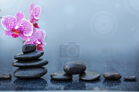 Foto de Flores de orquídea rosa y piedras de spa sobre un fondo gris, espacio para un texto. - Imagen libre de derechos