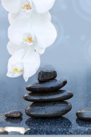 Photo for White orchid flowers and spa stones on a gray background, close up. - Royalty Free Image