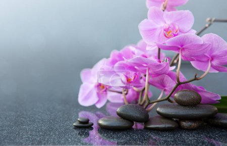 Photo for Pink orchid flowers and spa stones on a gray background, space for a text. - Royalty Free Image