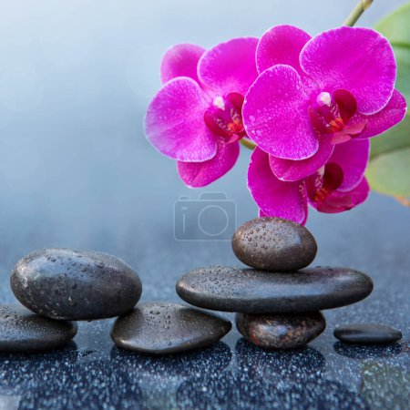 Téléchargez les photos : Fleurs d'orchidée rose et pierres de spa sur un fond gris, espace pour un texte. - en image libre de droit