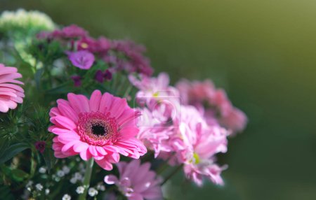 Téléchargez les photos : Flowers bouquet isolated on bokeh background. - en image libre de droit