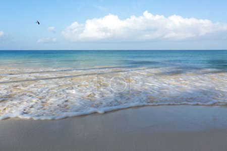 Téléchargez les photos : Douce vague d'océan bleu sur la plage de sable des Caraïbes. Concept de fond de voyage. - en image libre de droit