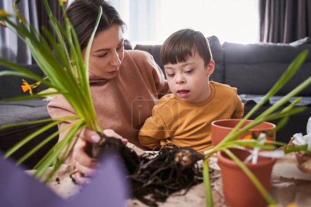 Téléchargez les photos : Portrait taille haute de la mère caucasienne remplaçant des plantes au sol alors qu'elle était assise à la table avec son enfant atteint de troubles génétiques - en image libre de droit