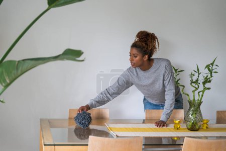 Photo for Gorgeous curly concentrated woman is wiping dust while cleaning her table. Domestic routine concept - Royalty Free Image