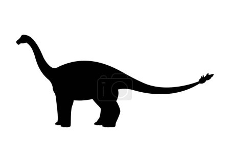 Ilustración de Vector de silueta de dinosaurio Shunosaurus aislado sobre fondo blanco - Imagen libre de derechos