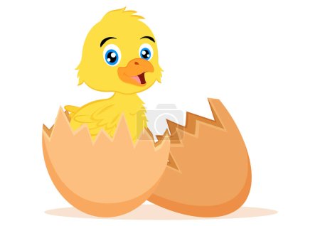 Baby chicken in an egg shell cartoon character vector illustration