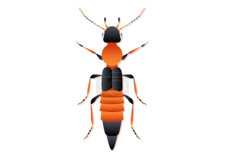 Téléchargez les illustrations : Paederus Beetle Vector Art isolé sur fond blanc - en licence libre de droit
