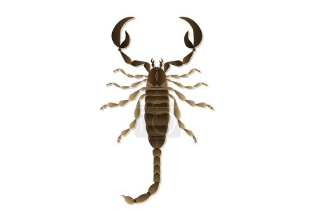Illustration for Scorpion Vector Art isolated on white background - Royalty Free Image
