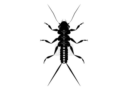 Ilustración de Negro y blanco piedra ninfa insecto Clipart Vector aislado sobre fondo blanco - Imagen libre de derechos
