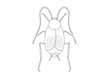 Illustration for Black and White Oriental Cockroach Clipart Vector isolated on White Background. Coloring Page of a Oriental Cockroach - Royalty Free Image