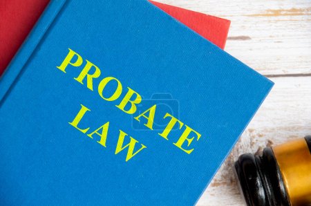 Top view of Probate law book with gavel on white background. Probate law concept.