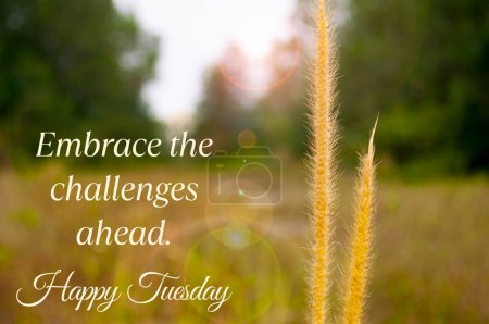 Photo for Embrace the challenges ahead. Happy Tuesday greetings. - Royalty Free Image