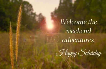 Welcome the weekend adventures. Happy Saturday greetings.