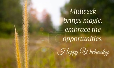 Photo for Midweek brings magic, embrace the opportunities. Happy Wednesday greetings. - Royalty Free Image