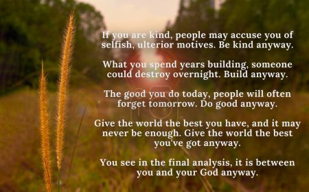 Words of wisdom about just doing good anyway with beautiful vintage nature background.