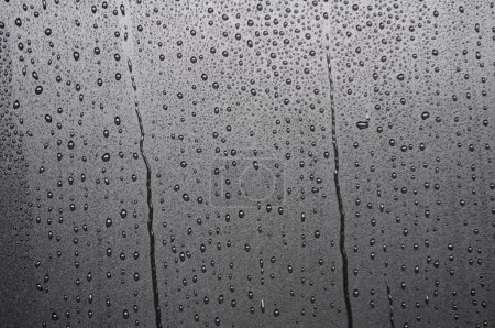 Water droplets from rain suitable for design or wallpaper background.
