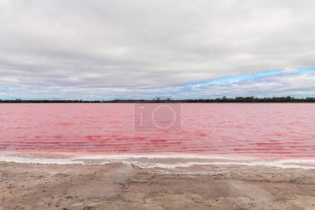 Téléchargez les photos : Lac Pink Punit vue de Western Hwy sur une journée, Dimboola, Victoria, Australie - en image libre de droit