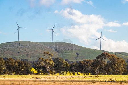 Foto de Turbinas eólicas australianas sostenibles en la zona rural de Victoria vistas desde la autopista, Australia - Imagen libre de derechos