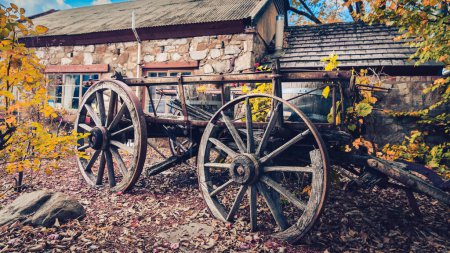 Carro de caballo viejo en Hahndorf durante la temporada de otoño, Adelaide Hills, Australia del Sur