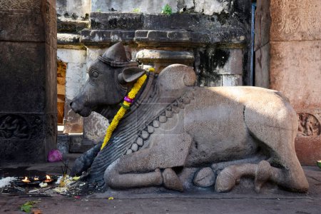 Téléchargez les photos : Statue de Nandi dans les temples de Mahakuta qui ont été détruits par les premiers rois Chalukya dans le district de Bagalkot au Karnataka, en Inde - en image libre de droit