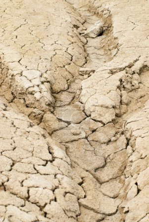 Foto de Grietas y zanjas secas permanece en un paisaje árido concepto de desastre ambiental sequía - Imagen libre de derechos