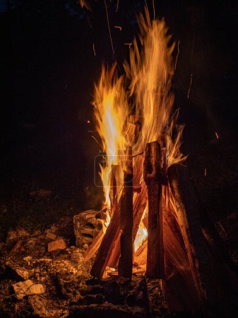 Photo for Logs burning in camp fire in darkness - Royalty Free Image