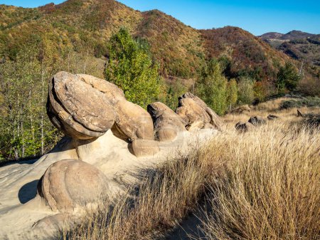 Foto de Babele de la ulmet formación geológica de rocas de forma redonda conocidas como trovanti restos de lecho marino prehistórico en romania en el condado de Buzau - Imagen libre de derechos