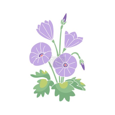 Illustration for Canary islands stylized morning glory flower motif isolated on white background - Royalty Free Image