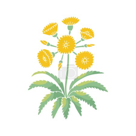 Téléchargez les illustrations : Îles Canaries stylisé arbre sauvage motif de fleurs sonchus isolé sur fond blanc - en licence libre de droit