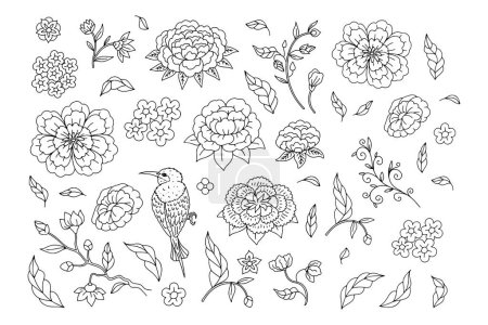 Set of monochrome black and white floral chinoiserie style flowers isolated on white background. Abstract hand drawn botanical clip art elements bundle.