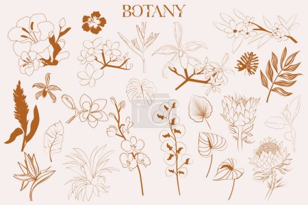 Téléchargez les illustrations : Fleurs tropicales et collection de plantes dans le style croquis. Illustration vectorielle modifiable. - en licence libre de droit