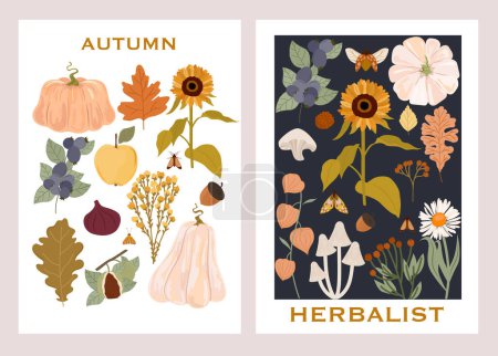 Illustration for Collection of autumn posters, fall cards. Botanical illustrations, Fall leaves, harvest, pumpkin, wild flowers, herbs, plants. Editable vector illustration. - Royalty Free Image