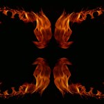 Dangerous hot inferno fire flames photo frame abstract fire squares on black background for design.