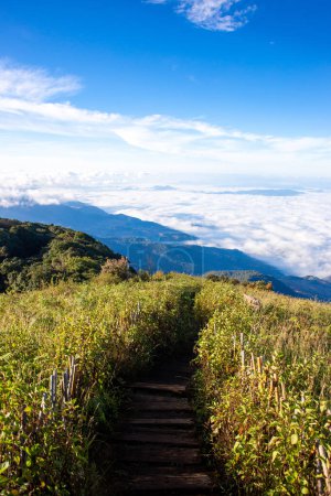 Beautiful misty sea view in the morning, large mountain ranges and sunlight , Kew Mae Pan Nature Trail ,Doi Inthanon National Park Thailand